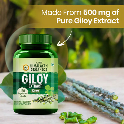Vlado's Himalayan Organics Giloy Extract | 120 Veg Tablets