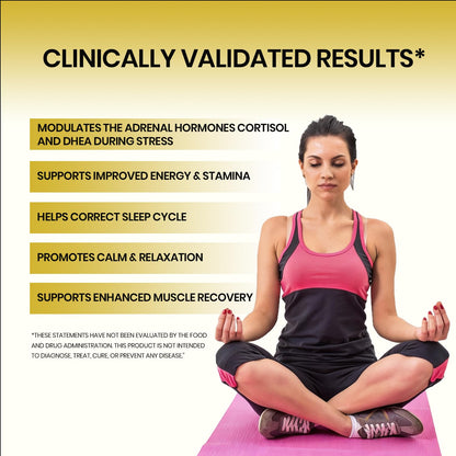 Vlado's Himalayan Organics Liposomal Ashwagandha 1000mg per Serving | Ashwagandha Root Extract | 60 Veg Capsules