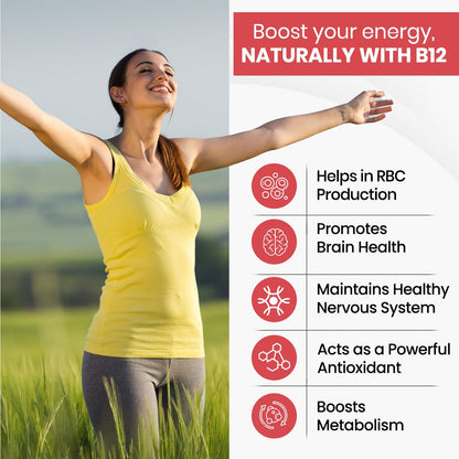 Vlado's Himalayan Organics Methylcobalamin Vitamin B12 1500mcg - 90 Veg Tablets