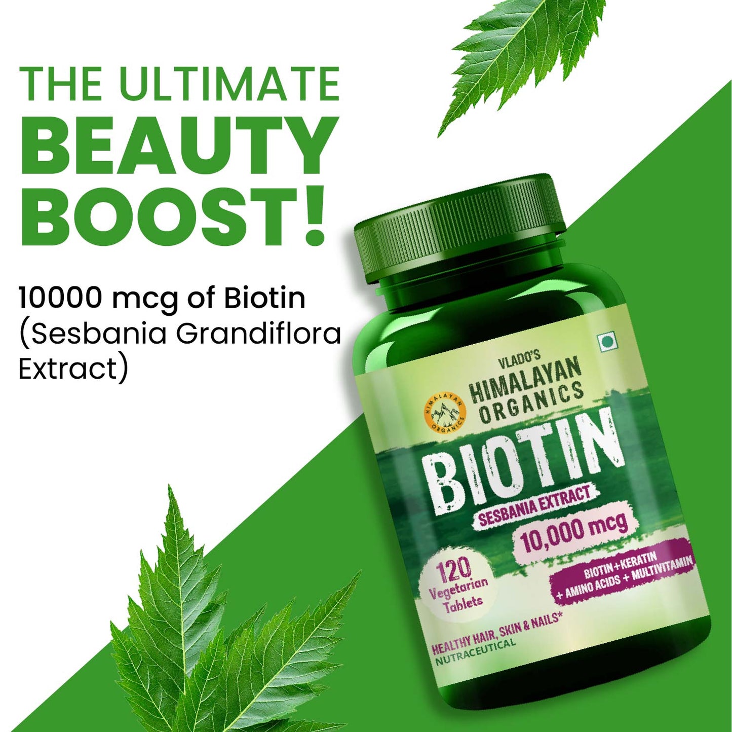 Vlado's Himalayan Organics Biotin 10,000 mcg Supplement with Keratin, Amino Acids & Multivitamin - 120 Veg Tablets