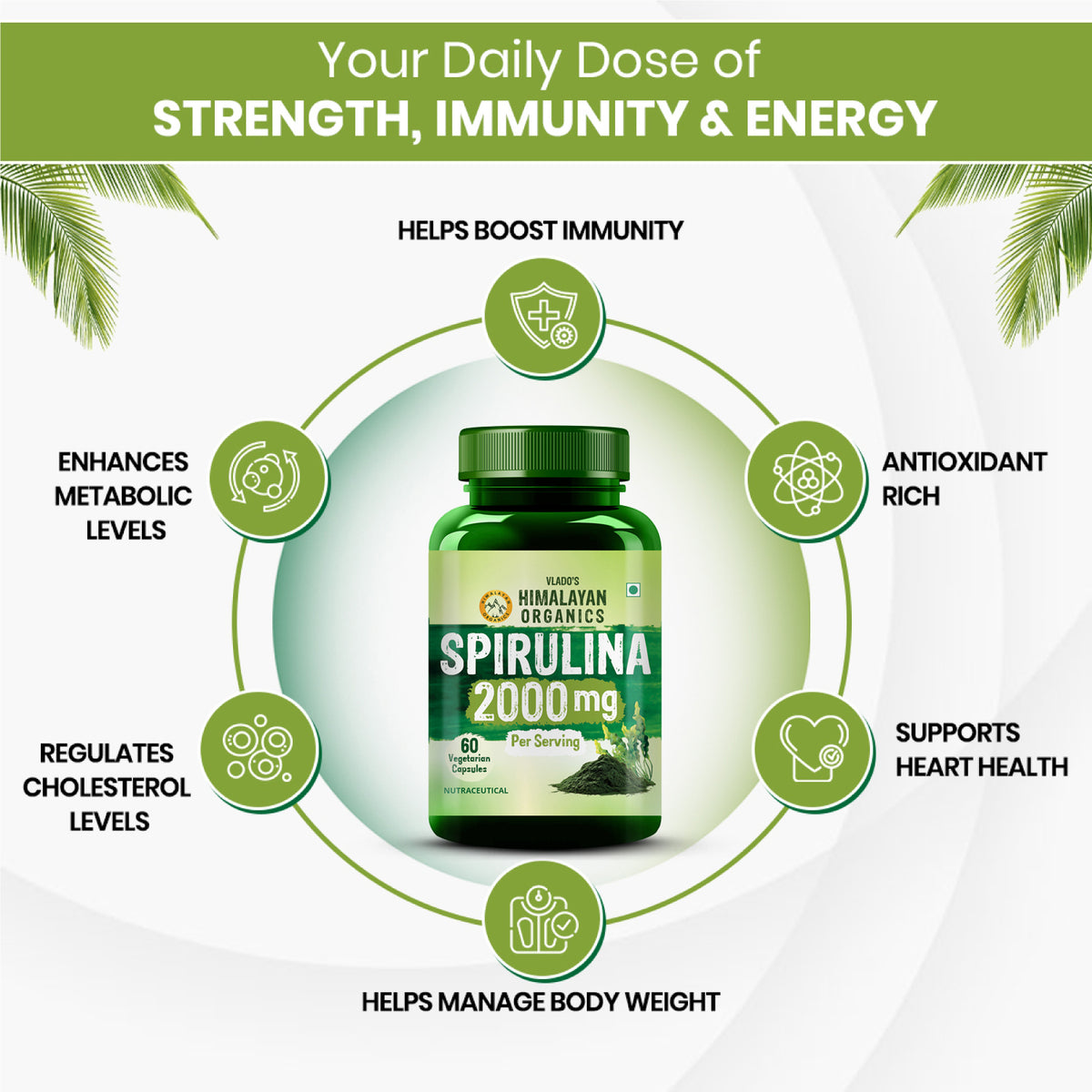 Vlado's Himalayan Organics Spirulina 2000mg Supplement | Plant-Based Superfood | 60 Vegetarian Capsules