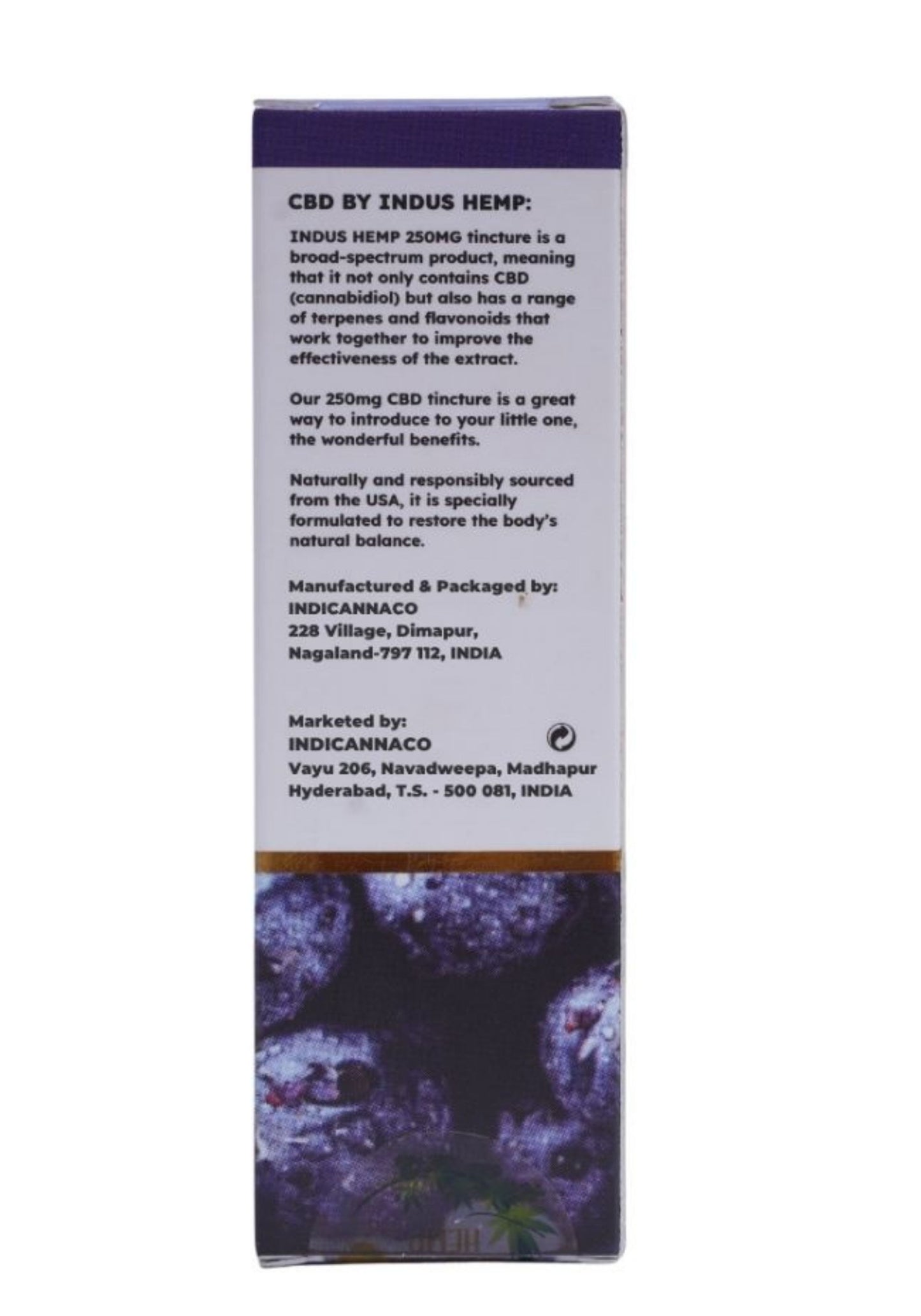 INDUS HEMP CANNA-HEALTH CBD 250 MG - BLUEBERRY FLAVOUR