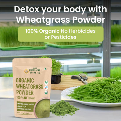 Vlado’s Himalayan Organics Wheatgrass Powder | 100% Natural & Organic | 100g