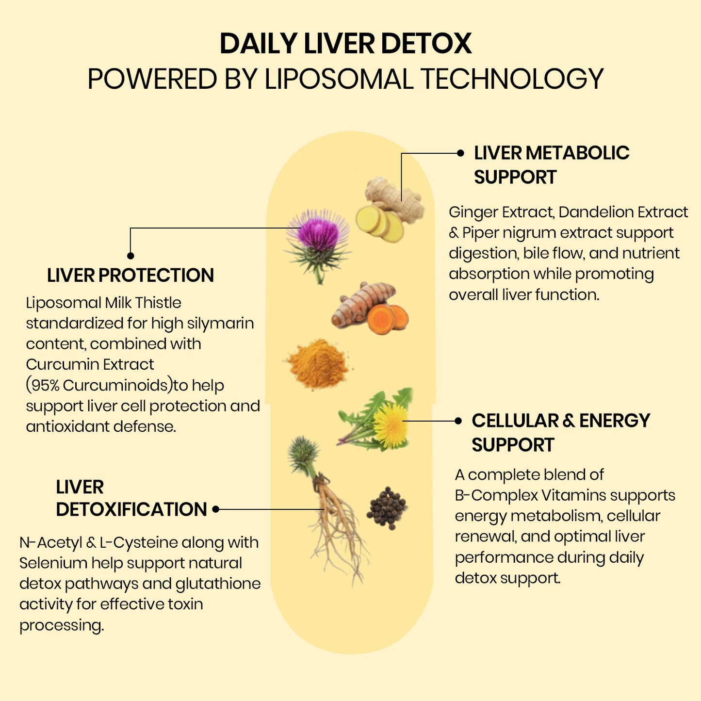 Vlado’s Himalayan Organics Liposomal Liver Detox with Milk Thistle 950mg | Curcumin, Ginger & Dandelion Extract | With Multivitamins & Amino Acids | 60 Veg Capsules