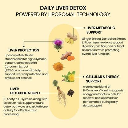 Vlado’s Himalayan Organics Liposomal Liver Detox with Milk Thistle 950mg | Curcumin, Ginger & Dandelion Extract | With Multivitamins & Amino Acids | 60 Veg Capsules