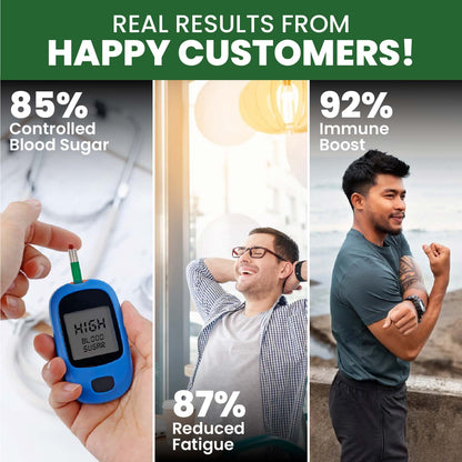 Vlado's Himalayan Organics Diabetes Support Supplement | Blend of 11 Herbal Ingredients | 100% Vegetarian | 60 Capsules