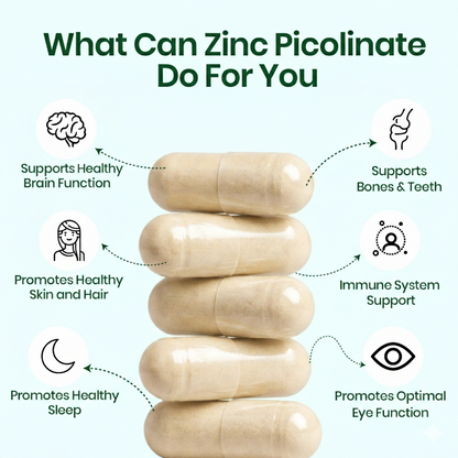 Vlado's Himalayan Organics Zinc Picolinate with Vitamin C & Copper | Zinc Supplement with 17 mg Elemental Zinc | 120 Vegetarian Capsules