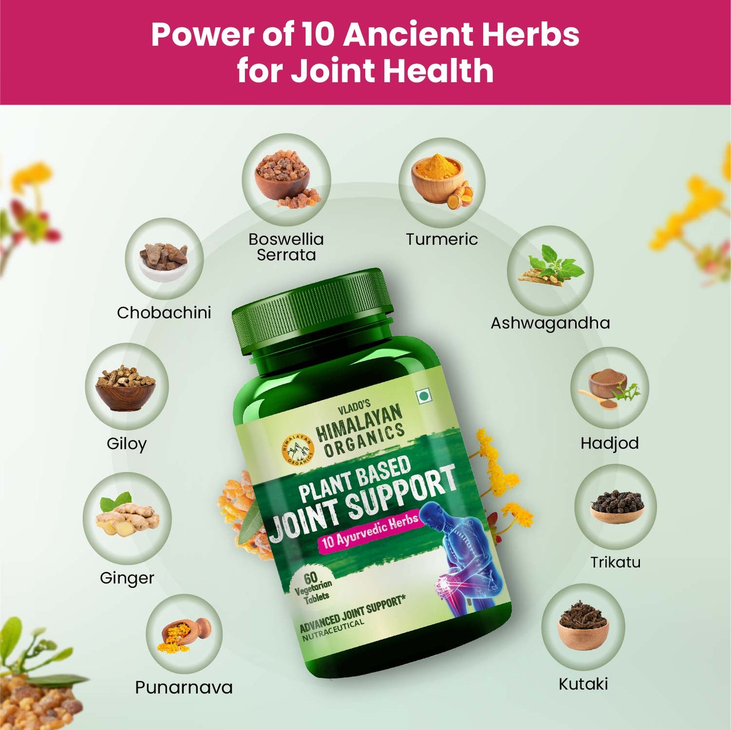 Vlado's Himalayan Organics Plant-Based Joint Support with Boswellia Serrata, Turmeric, Amla, Moringa & 10 Ayurvedic Herbs – 60 Veg Tablets
