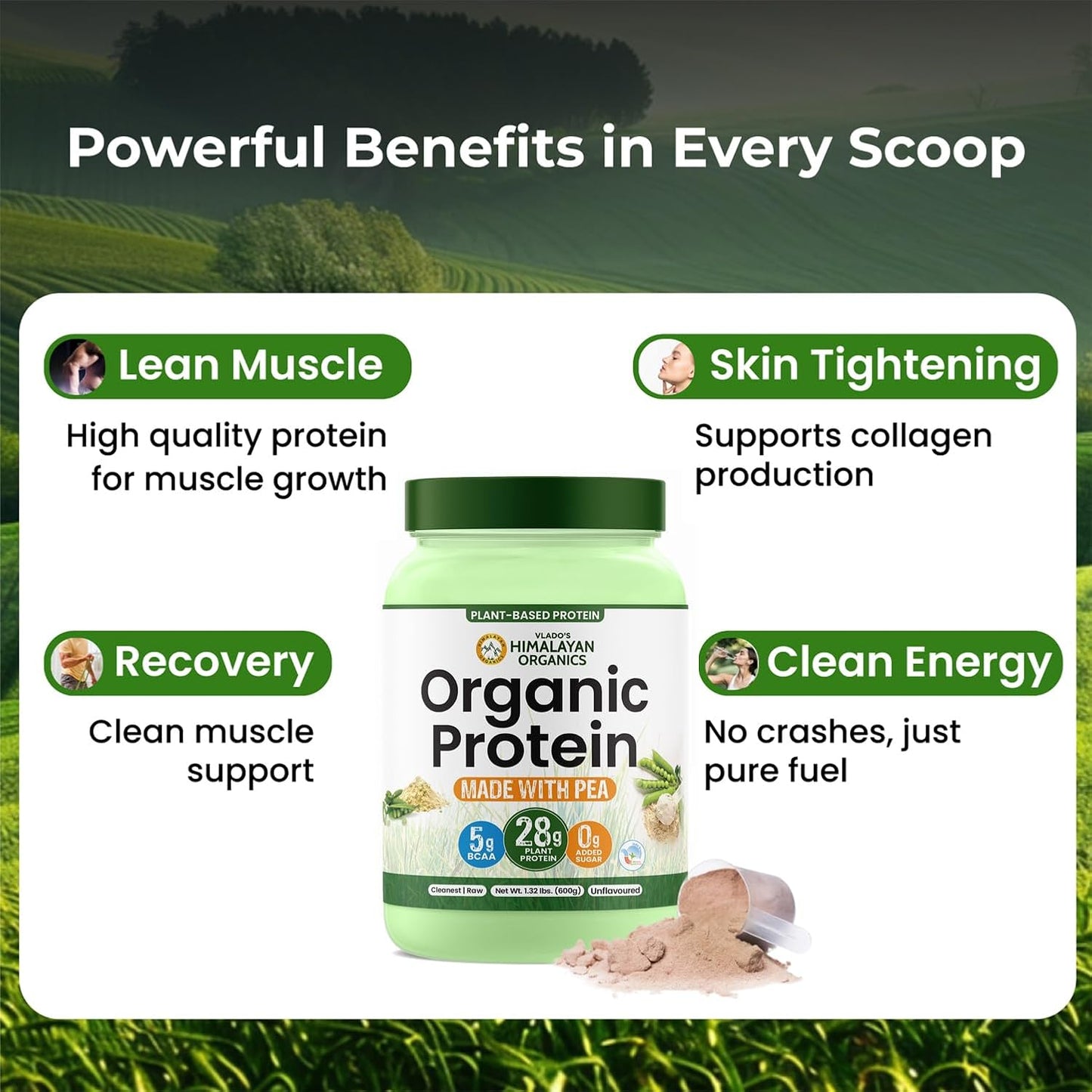 Vlado's Himalayan Organics Organic Pea Protein Powder | 28g Protein & 5g BCAA per Serving | 100% Plant-Based & Vegan | Lab Tested | Fast Absorbing, Easy to Digest | Supports Muscle Recovery | Unflavoured | 600g