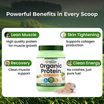 Vlado's Himalayan Organics Organic Pea Protein Powder | 28g Protein & 5g BCAA per Serving | 100% Plant-Based & Vegan | Lab Tested | Fast Absorbing, Easy to Digest | Supports Muscle Recovery | Unflavoured | 600g