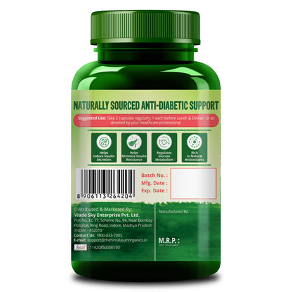 Vlado's Himalayan Organics Diabetes Support Supplement | Helps Control Blood Sugar Levels | 100% Vegetarian (60 Capsules)