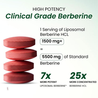 Vlado’s Himalayan Organics Liposomal Berberine HCL+ 1500 mg | With Piperine, Chromium, Bitter Melon, Bael & Gudmar | Advanced Herbal Blend | 60 Veg Tablets