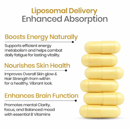 Vlado’s Himalayan Organics Liposomal Vitamin B Complex with 100% RDA B1, B2, B3, B5, B6, B9 & B12 | 60 Capsules
