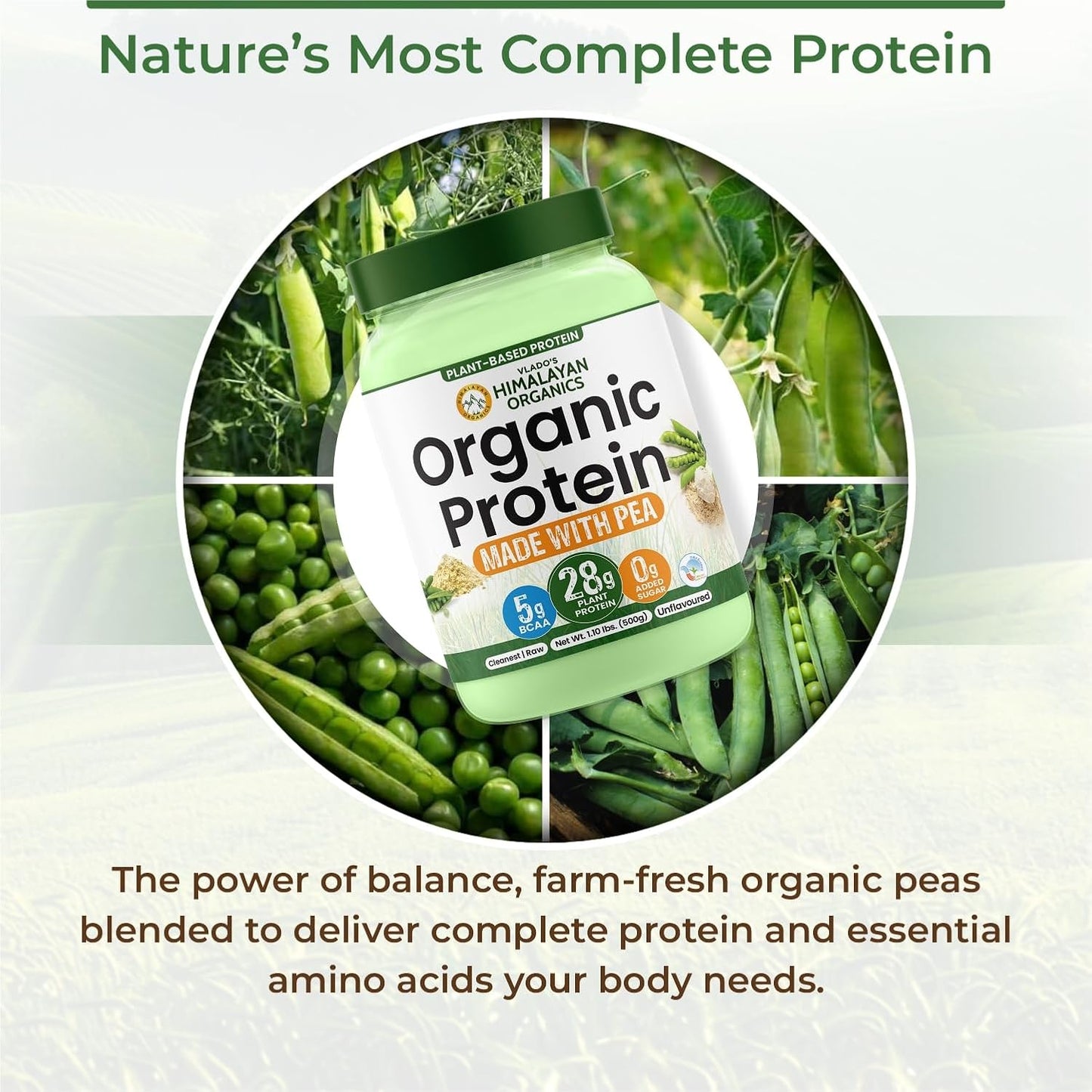 Vlado Himalayan Organics Plant-Based Protein Powder | 100% Organic Pea Protein | 28g Protein, 5g BCAA per Serving | Clean, Vegan, Fast-Absorbing | No Bloating, Easy to Digest | Unflavoured – 500g