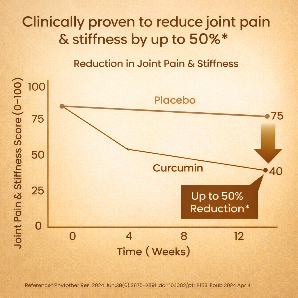 Vlado’s Himalayan Organics Liposomal Curcumin 2200 mg+ with BioPerine & Herbal Extracts – 60 Vegetarian Tablets
