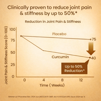 Vlado’s Himalayan Organics Liposomal Curcumin 2200 mg+ with BioPerine & Herbal Extracts – 60 Vegetarian Tablets