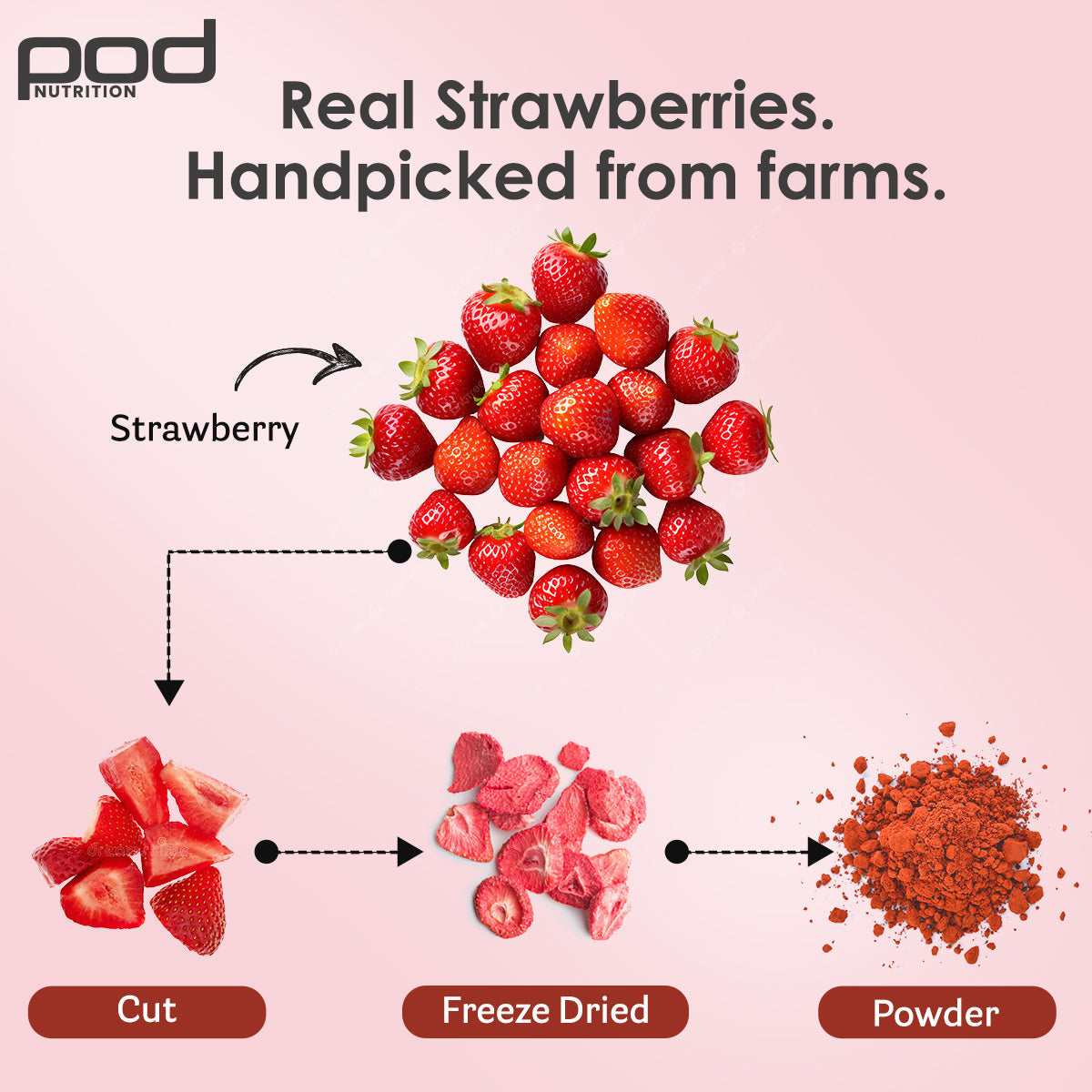POD NUTRITION Pea Protein Isolate Powder | Vegan Plant Protein, No Added Sugar, Dairy Free| Clean & Easy to Digest with Essential Amino Acids (1kg, Real Strawberry)