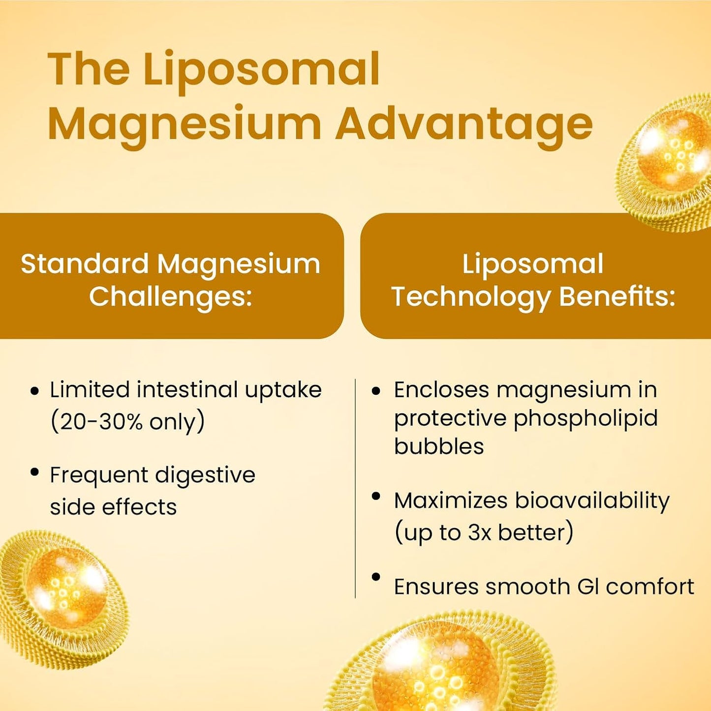 Vlado’s Himalayan Organics 5X Strength Liposomal Magnesium 2100mg+ with Magnesium Glycinate, Citrate, Oxide, Threonate & Aspartate | Triple Magnesium Complex | 120 Veg Tablets