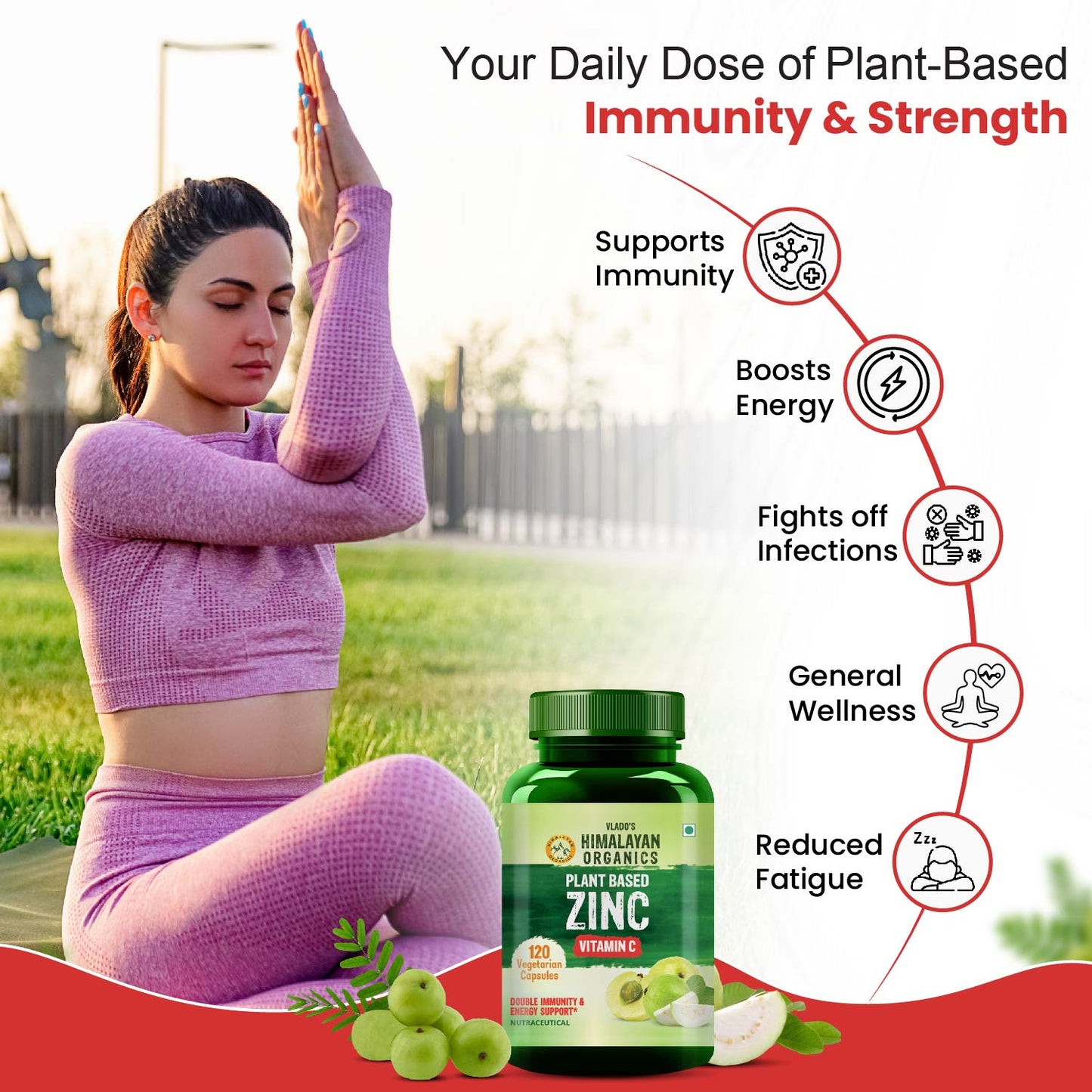 Vlado's Himalayan Organics Plant Based Zinc with Vitamin C | 120 Veg Capsules