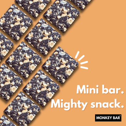 Monkey Bar - Assorted Choco Energy Bars - No Added Sugar - Pack of 10 (10X40g)