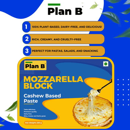 Plan B Mozzarella Block 250 g