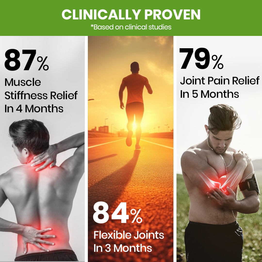 Vlado's Himalayan Organics Glucosamine Chondroitin MSM with Boswellia | 90 Tablets