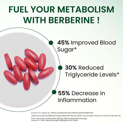 Vlado’s Himalayan Organics Liposomal Berberine HCL+ 1500 mg | With Piperine, Chromium, Bitter Melon, Bael & Gudmar | Advanced Herbal Blend | 60 Veg Tablets