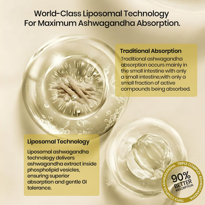 Vlado's Himalayan Organics Liposomal Ashwagandha 1000mg per Serving | Ashwagandha Root Extract | 60 Veg Capsules