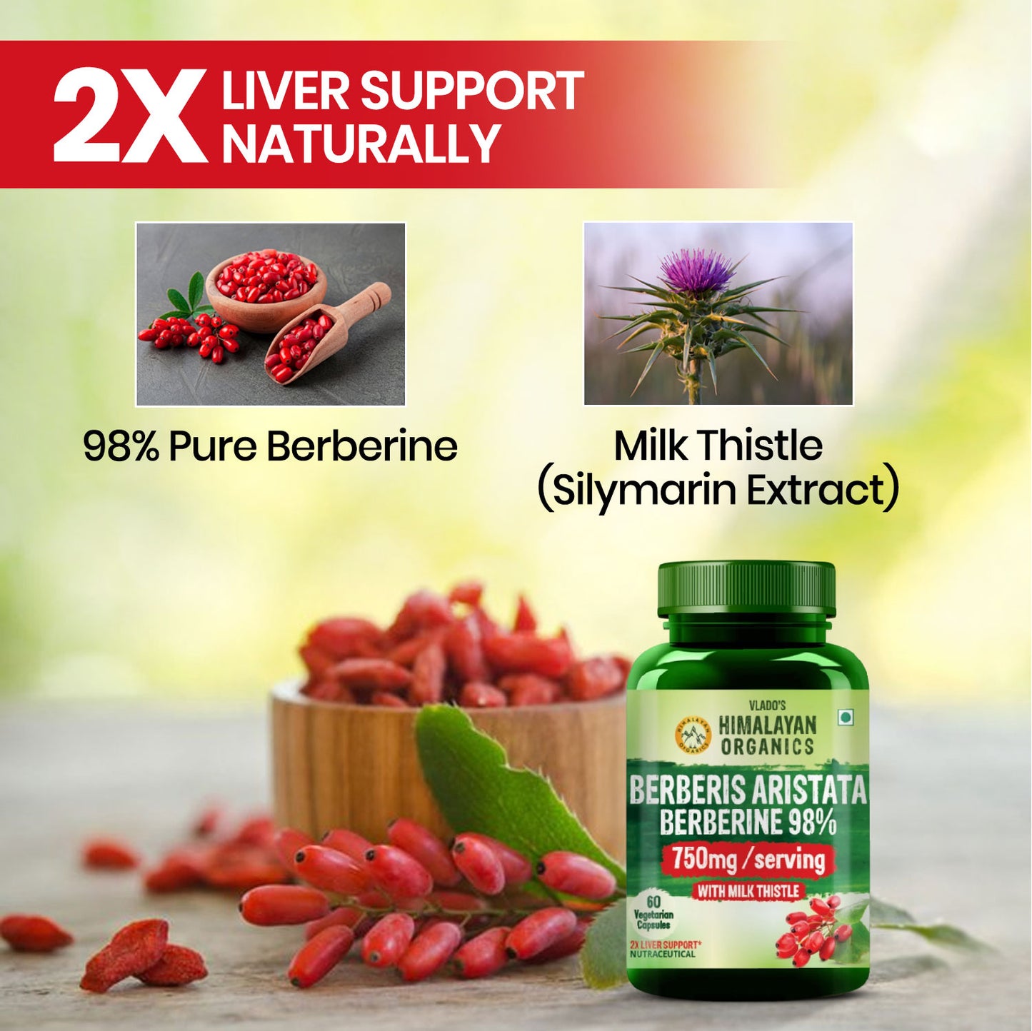 Vlado's Himalayan Organics Berberis Aristata Berberine 98% with Milk Thistle -60 Veg Capsules
