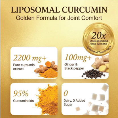 Vlado’s Himalayan Organics Liposomal Curcumin 2200 mg+ with BioPerine & Herbal Extracts – 60 Vegetarian Tablets