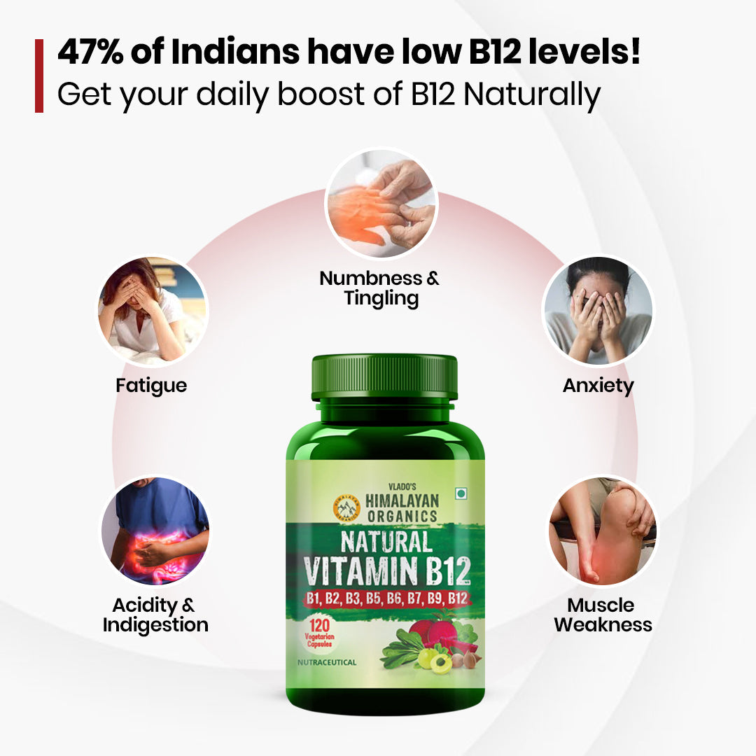 Vlado's Himalayan Organics Natural Vitamin B12 with B1, B2, B3, B5, B6, B7, B9 & Moringa | Plant-Based Formula | 120 Vegetarian Capsules