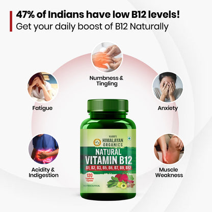 Vlado's Himalayan Organics Natural Vitamin B12 with B1, B2, B3, B5, B6, B7, B9 & Moringa | Plant-Based Formula | 120 Vegetarian Capsules
