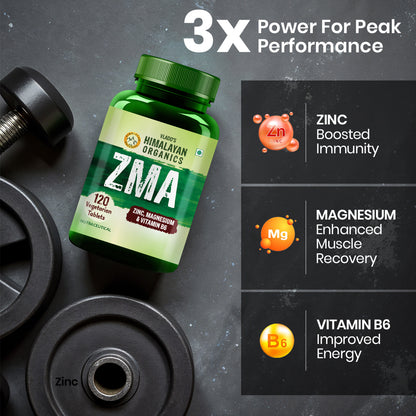 Vlado's Himalayan Organics ZMA Supplement with Zinc, Magnesium Aspartate & Vitamin B6 | Plant-Based Formula | 120 Veg Tablets