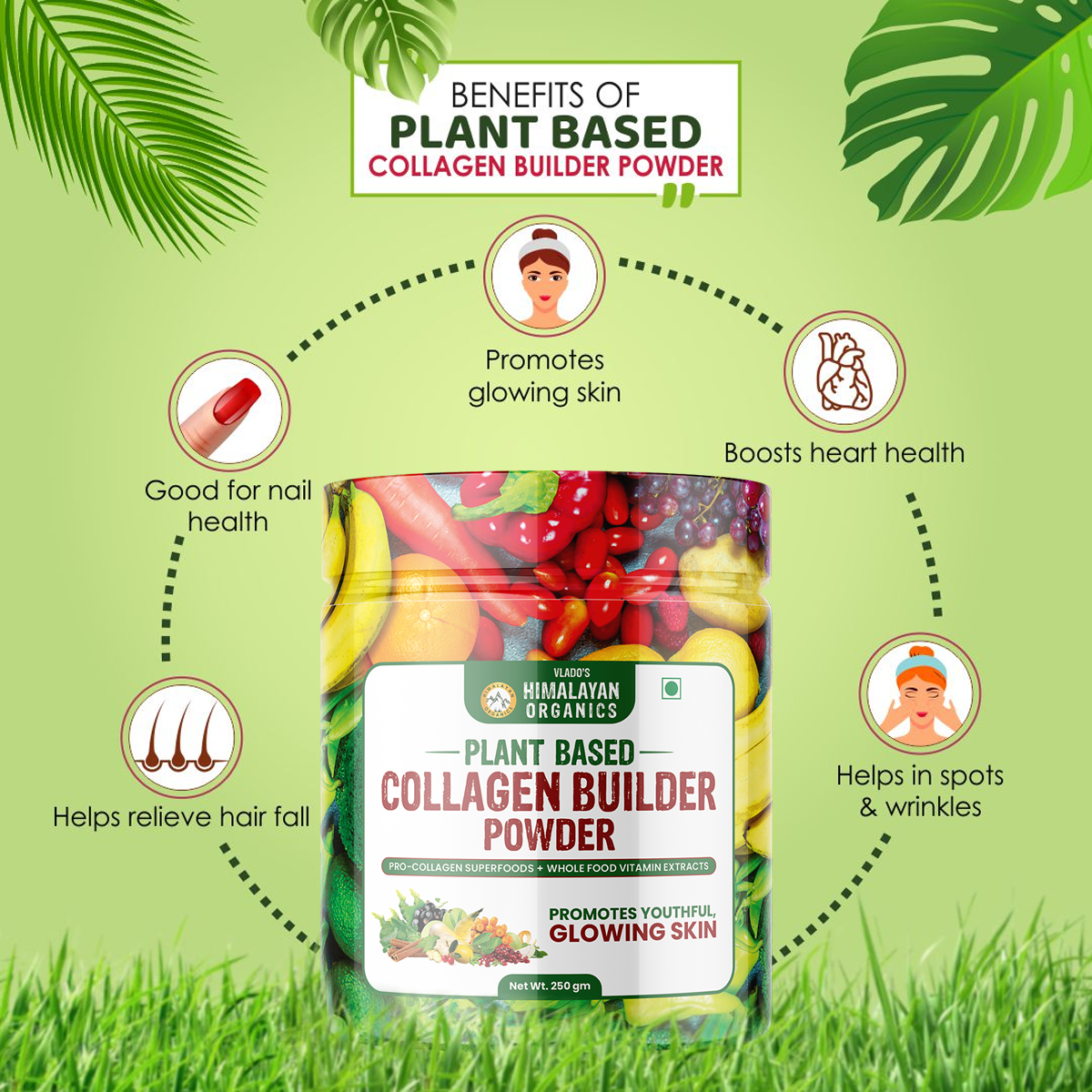 Vlado's Himalayan Organics Plant Based Collagen Builder Powder – 250gm