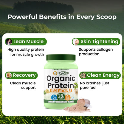 Vlado Himalayan Organics Plant-Based Protein Powder | 100% Organic Pea Protein | 28g Protein, 5g BCAA per Serving | Clean, Vegan, Fast-Absorbing | No Bloating, Easy to Digest | Unflavoured – 500g