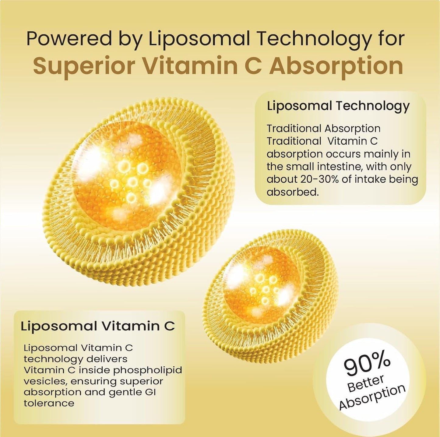 Vlado's Himalayan Organics Natural Liposomal Vitamin C Tablets | Amla Extract with Zinc | Liposomal Vitamin C Formula | 120 Veg Tablets