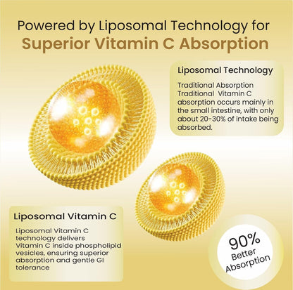 Vlado's Himalayan Organics Natural Liposomal Vitamin C Tablets | Amla Extract with Zinc | Liposomal Vitamin C Formula | 120 Veg Tablets