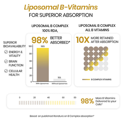 Vlado’s Himalayan Organics Liposomal Vitamin B Complex with 100% RDA B1, B2, B3, B5, B6, B9 & B12 | 60 Capsules