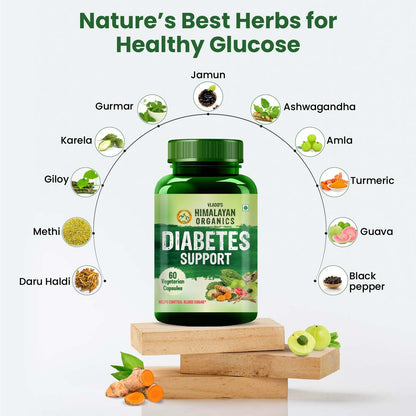 Vlado's Himalayan Organics Diabetes Support Supplement | Blend of 11 Herbal Ingredients | 100% Vegetarian | 60 Capsules