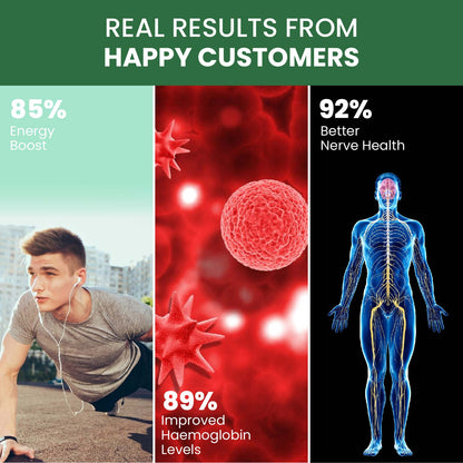 Vlado's Himalayan Organics Plant Based B Complex Vitamins B12, B1, B3, B2, B9 - 60 Veg Capsules