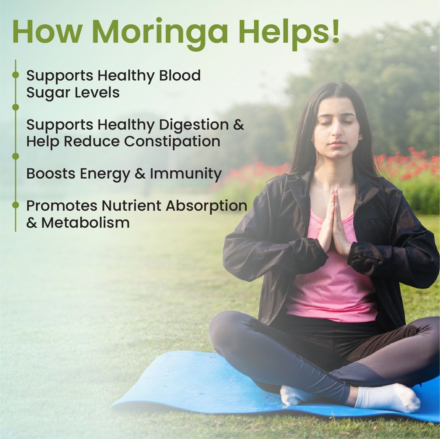 Vlado’s Himalayan Organics Organic Moringa Tablets | 1200 mg Moringa Leaf Extract | Pure Plant-Based Superfood | 60 Tablets