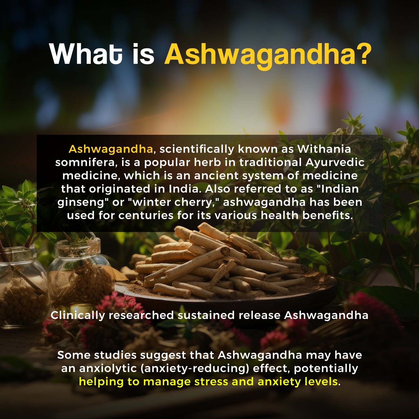 Health Veda Organics Ashwagandha 1000mg | 60 Veg Tablets | Boost Immunity, Rejuvenates Mind & Body