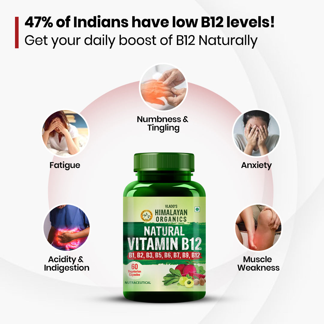 Vlado's Himalayan Organics Natural Vitamin B12 with B-Complex & Moringa | Plant-Based Formula | 60 Vegetarian Capsules