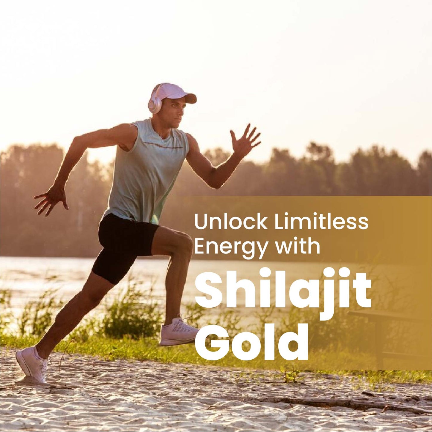 Vlado’s Himalayan Organics Shilajit Gold with Swarna Bhasma & 10+ Herbs | 60 Veg Capsules