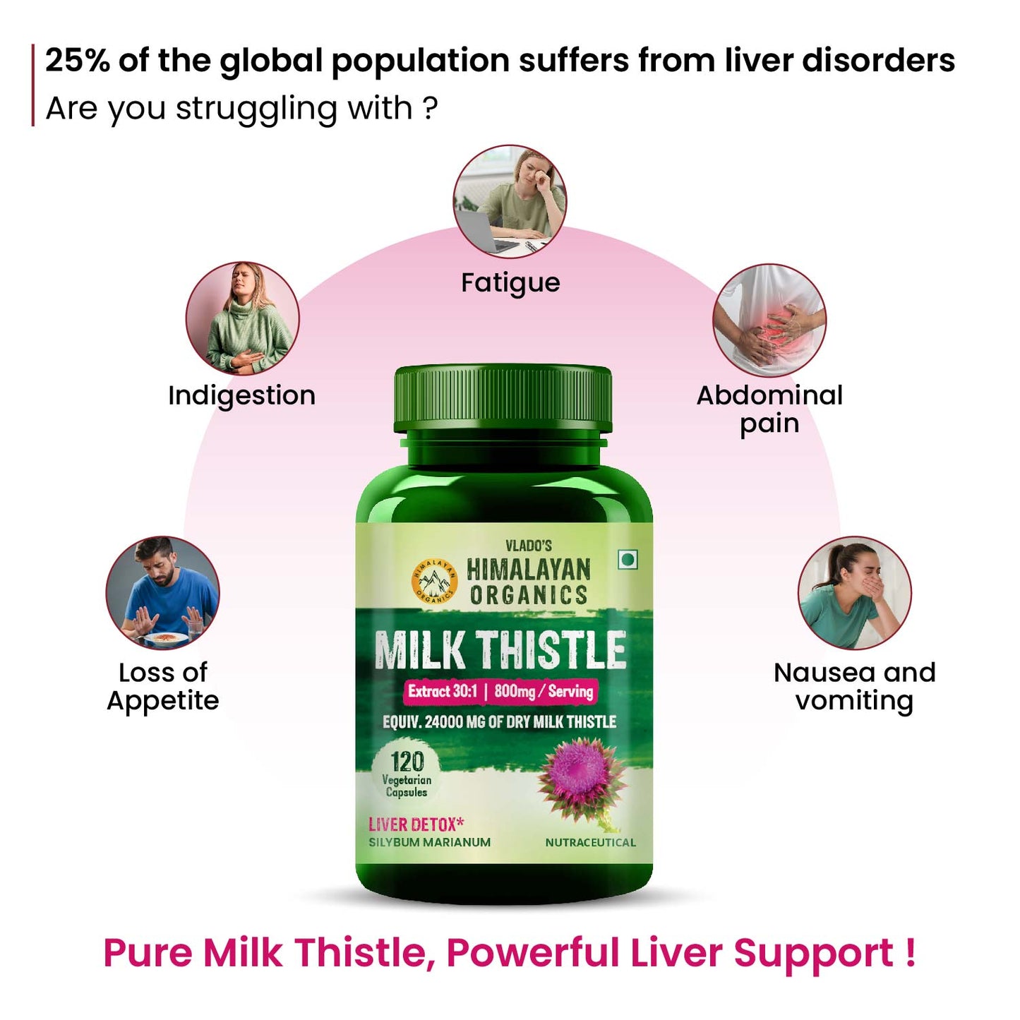 Vlado's Himalayan Organics Milk Thistle Extract Silymarin 800mg/Serve - 120 Veg Capsules