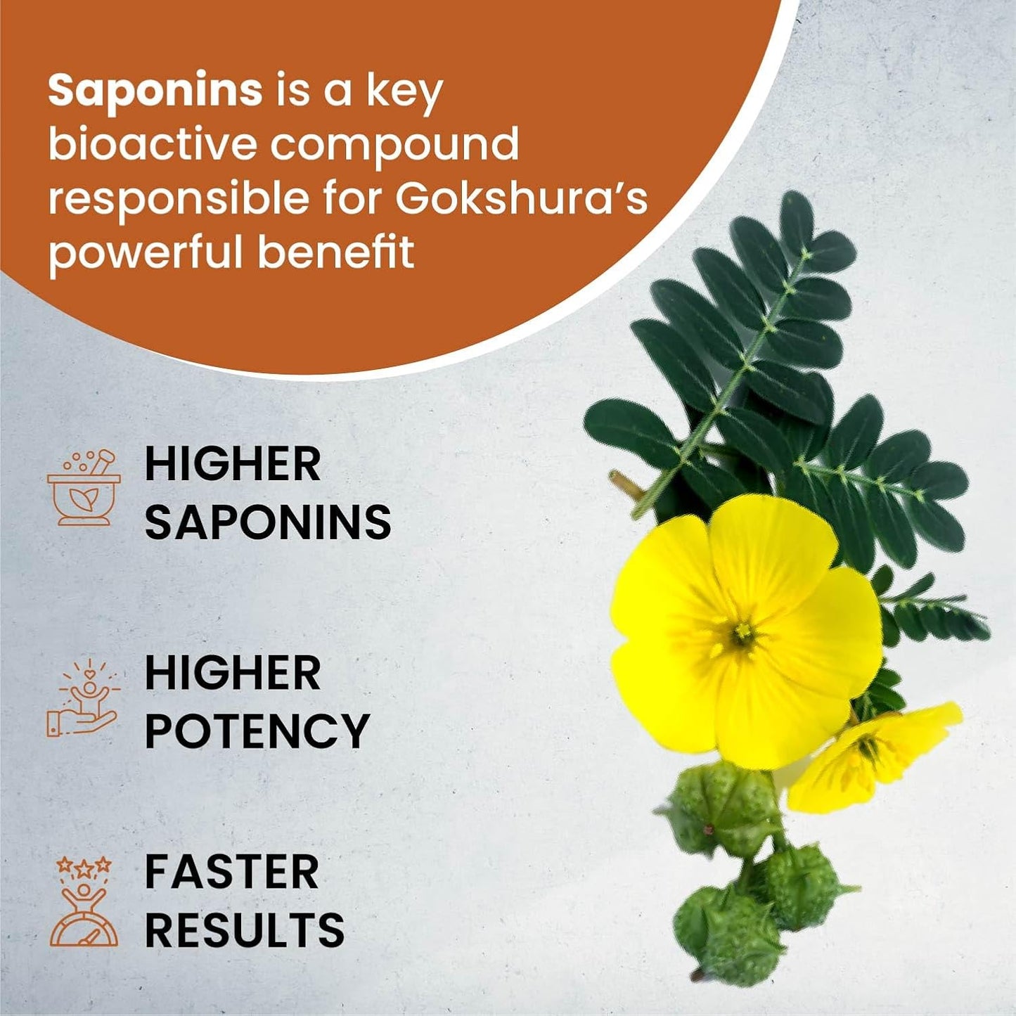 Vlado's Himalayan Organics Organic Gokshura Tablets | 1000 mg per Serving | Tribulus Terrestris for Men & Women | 60 Veg Tablets