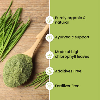 Vlado’s Himalayan Organics Wheatgrass Powder | 100% Natural & Organic | 100g