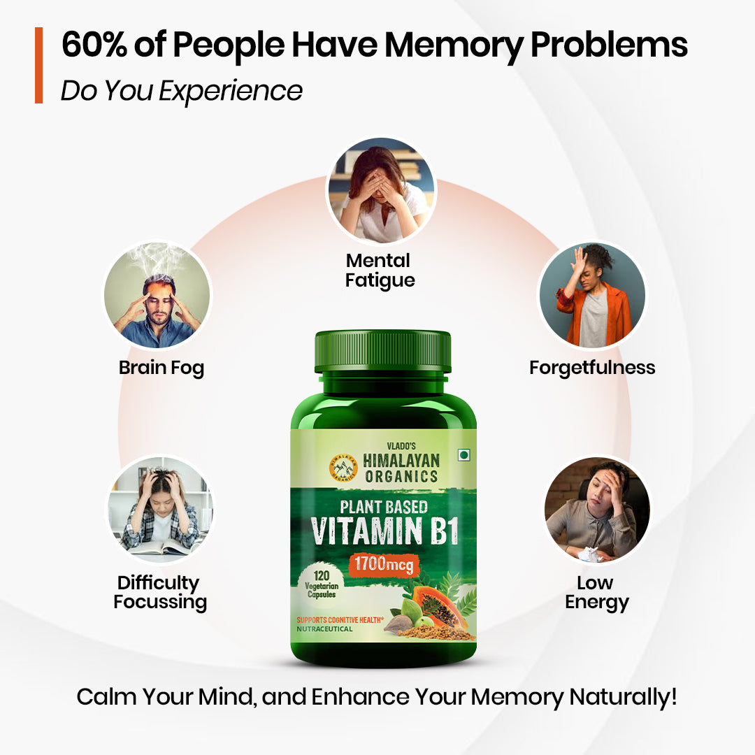 Vlado's Himalayan Organics Plant-Based Vitamin B1 Supplement | 1700mcg Thiamine with 10+ Plant Extracts | 120 Veg Capsules