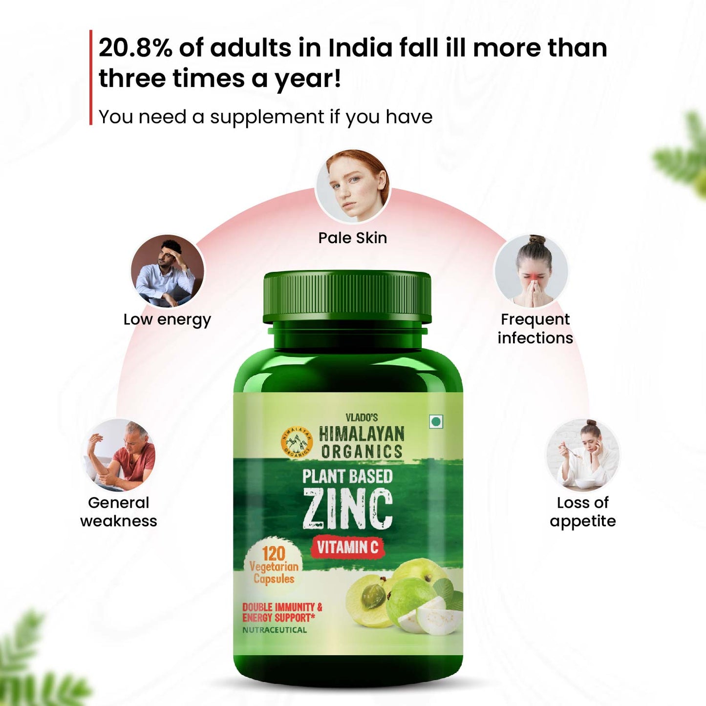 Vlado's Himalayan Organics Plant Based Zinc with Vitamin C | 120 Veg Capsules