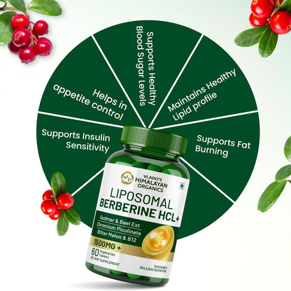 Vlado’s Himalayan Organics Liposomal Berberine HCL+ 1500 mg | With Piperine, Chromium, Bitter Melon, Bael & Gudmar | Advanced Herbal Blend | 60 Veg Tablets